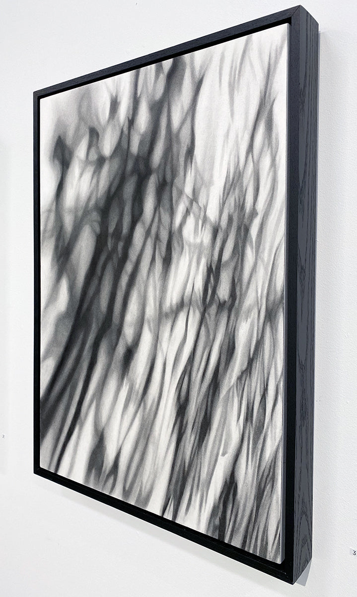 Uncertain Ground