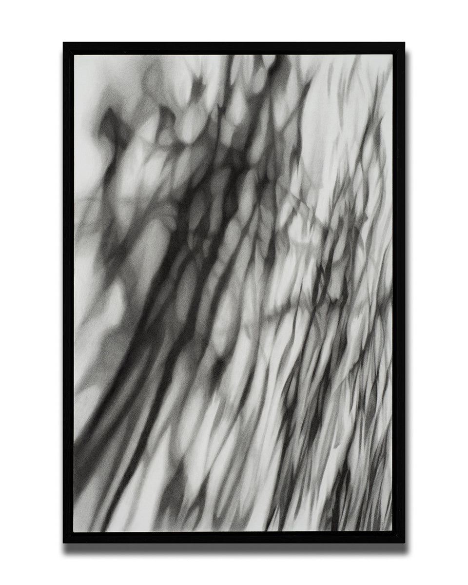Uncertain Ground