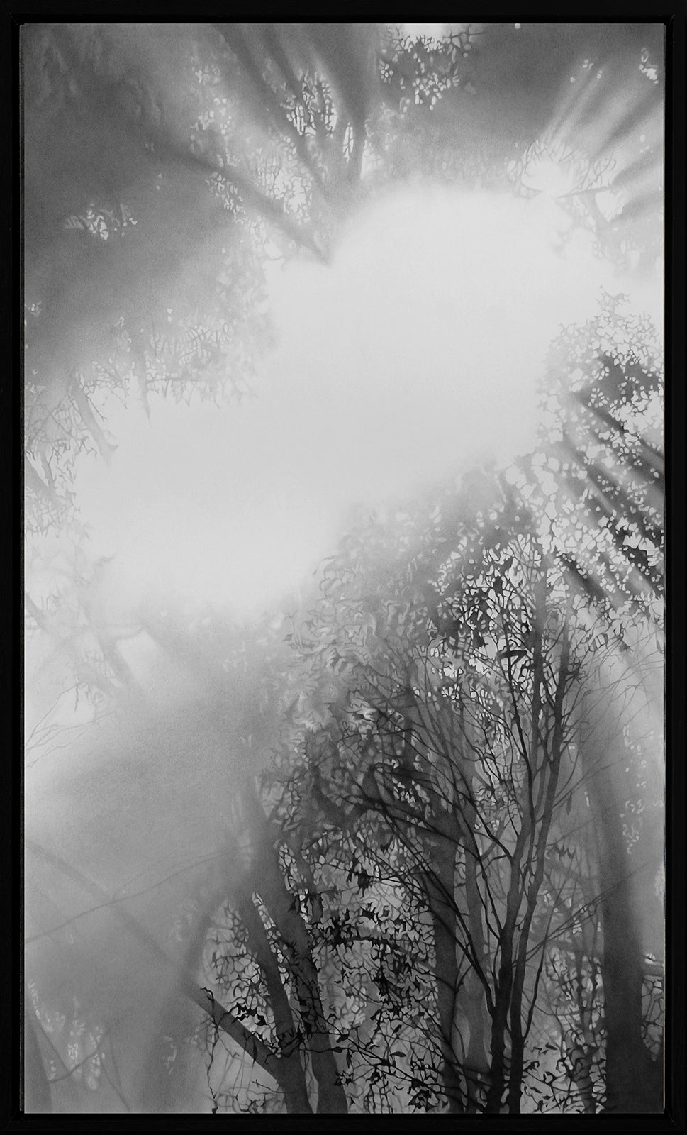 Into Thin Air