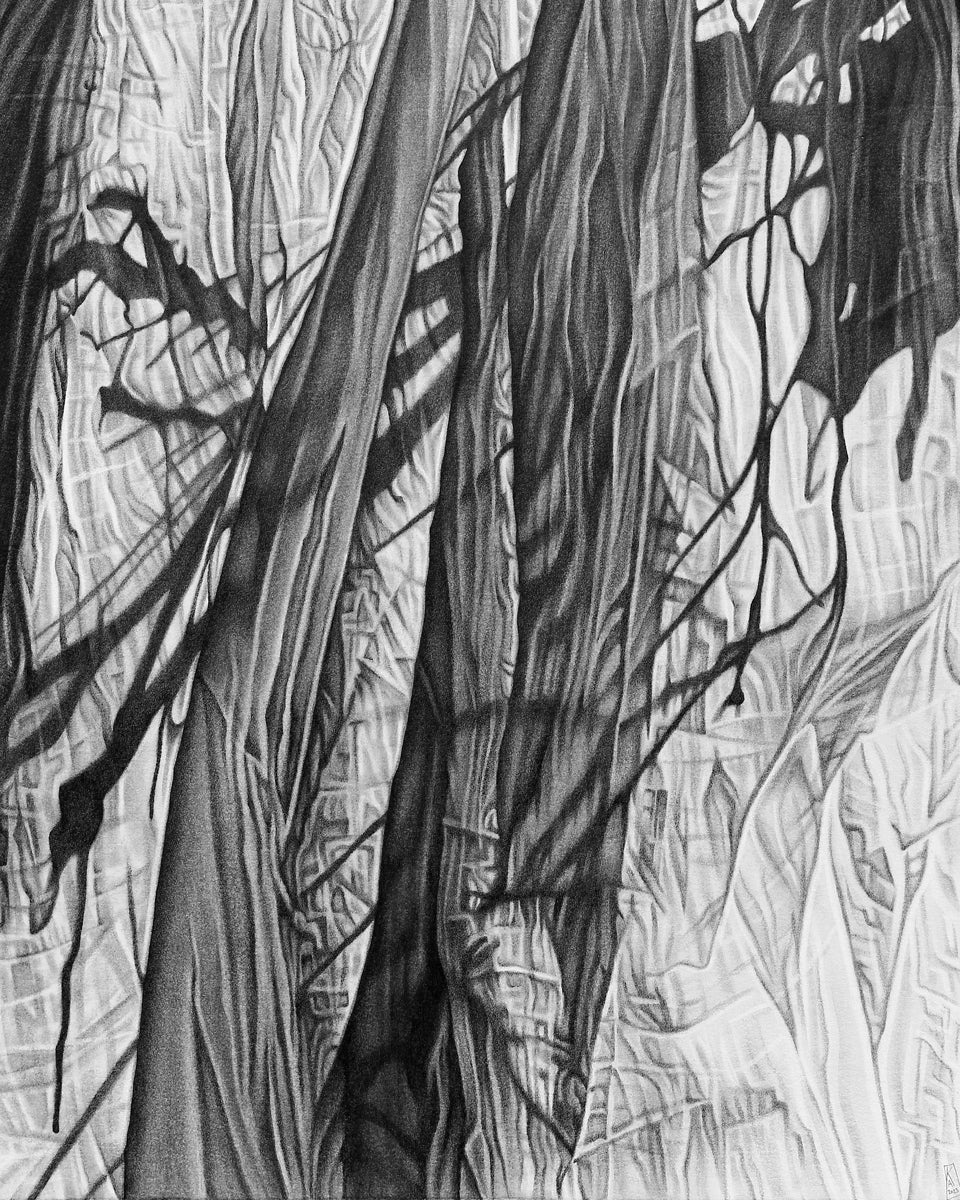 Imprint IV