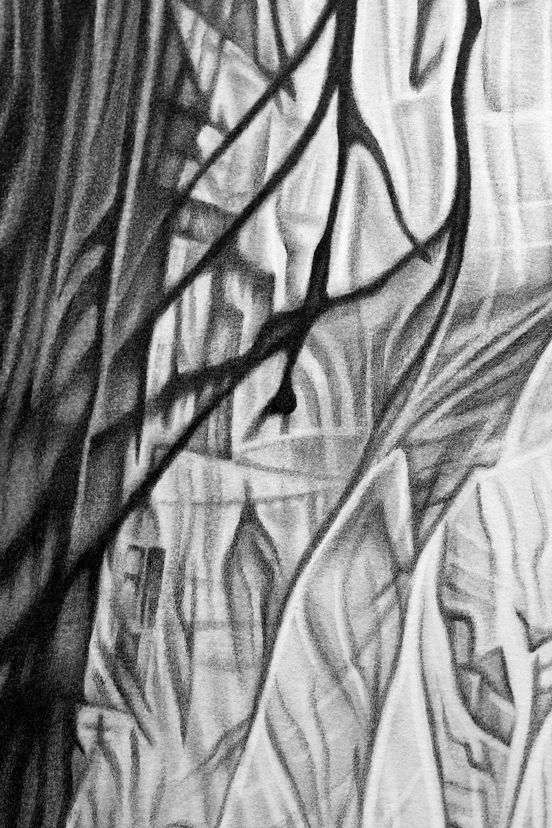 Imprint IV