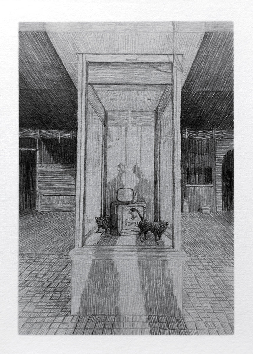 Two cats, a booth and TVs