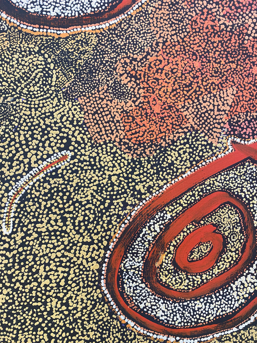 Warna Jukurrpa (Snake Dreaming) 975-24