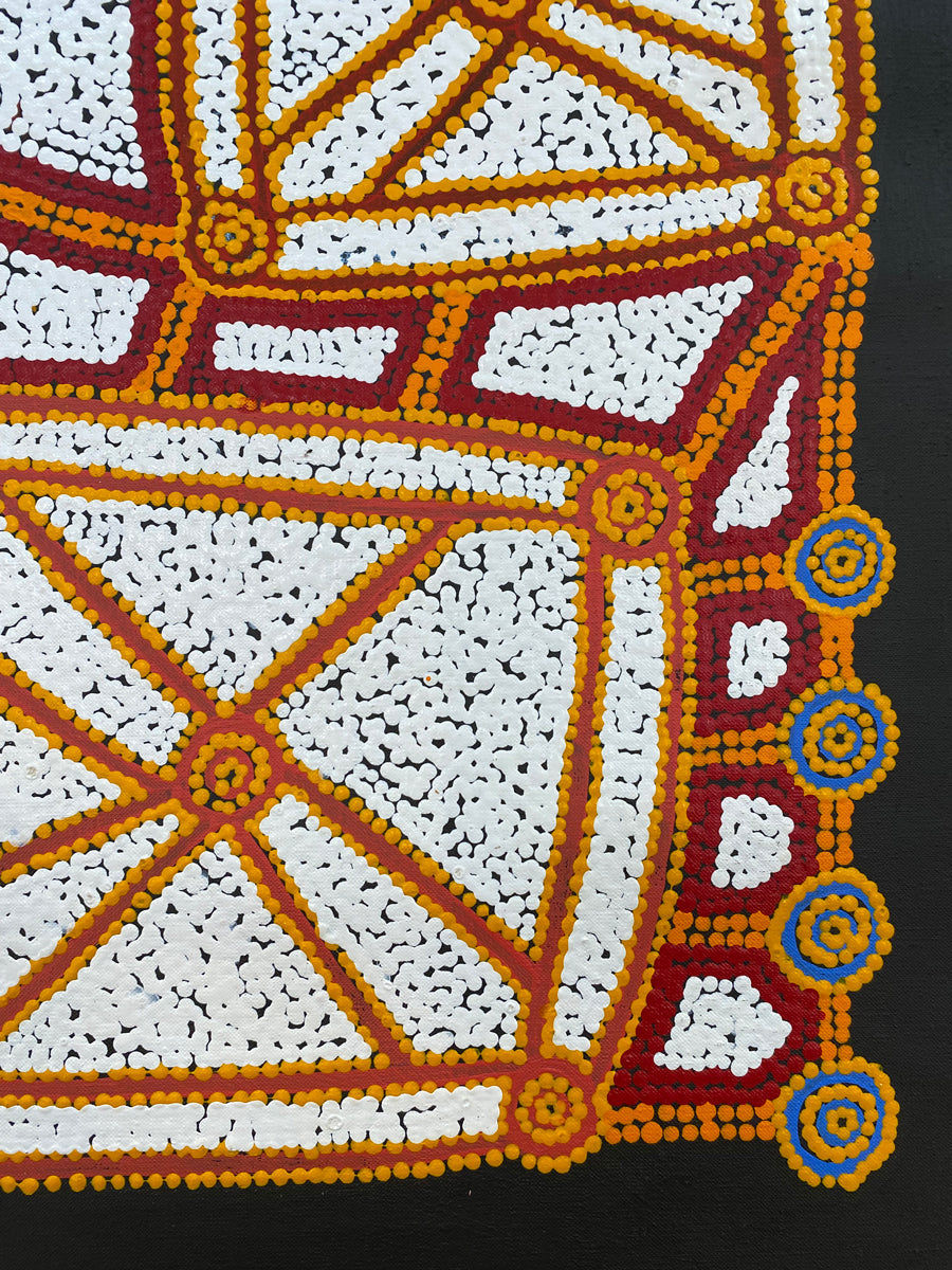 Ngapa Jukurrpa (Water Dreaming) Puyurru 600-24