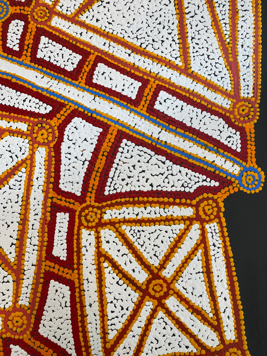 Ngapa Jukurrpa (Water Dreaming) Puyurru 600-24