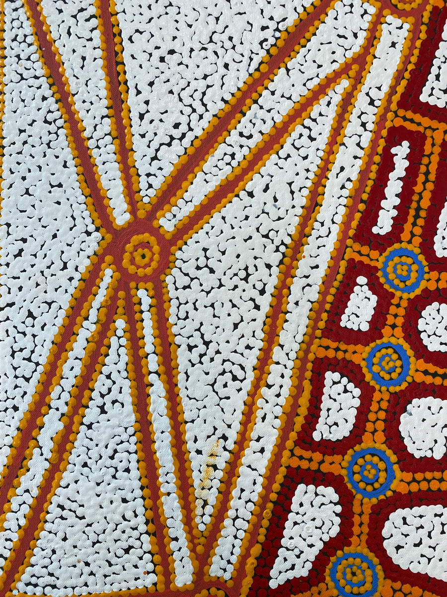 Ngapa Jukurrpa (Water Dreaming) Puyurru 600-24