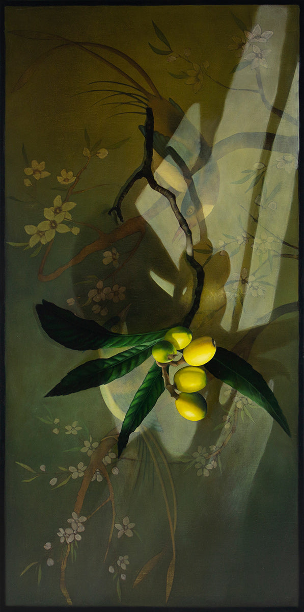 Loquats and Shadows