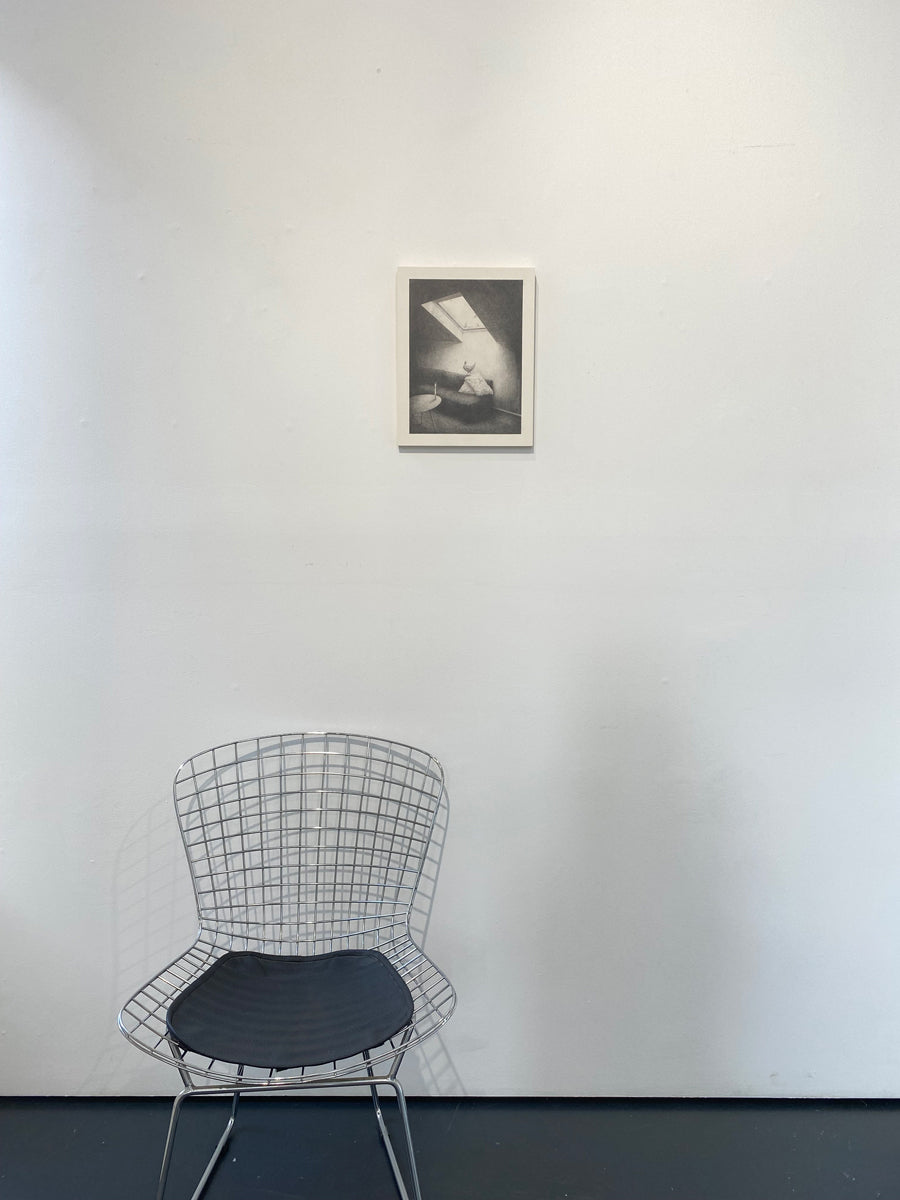 A chicken, living-room, candle and skylight