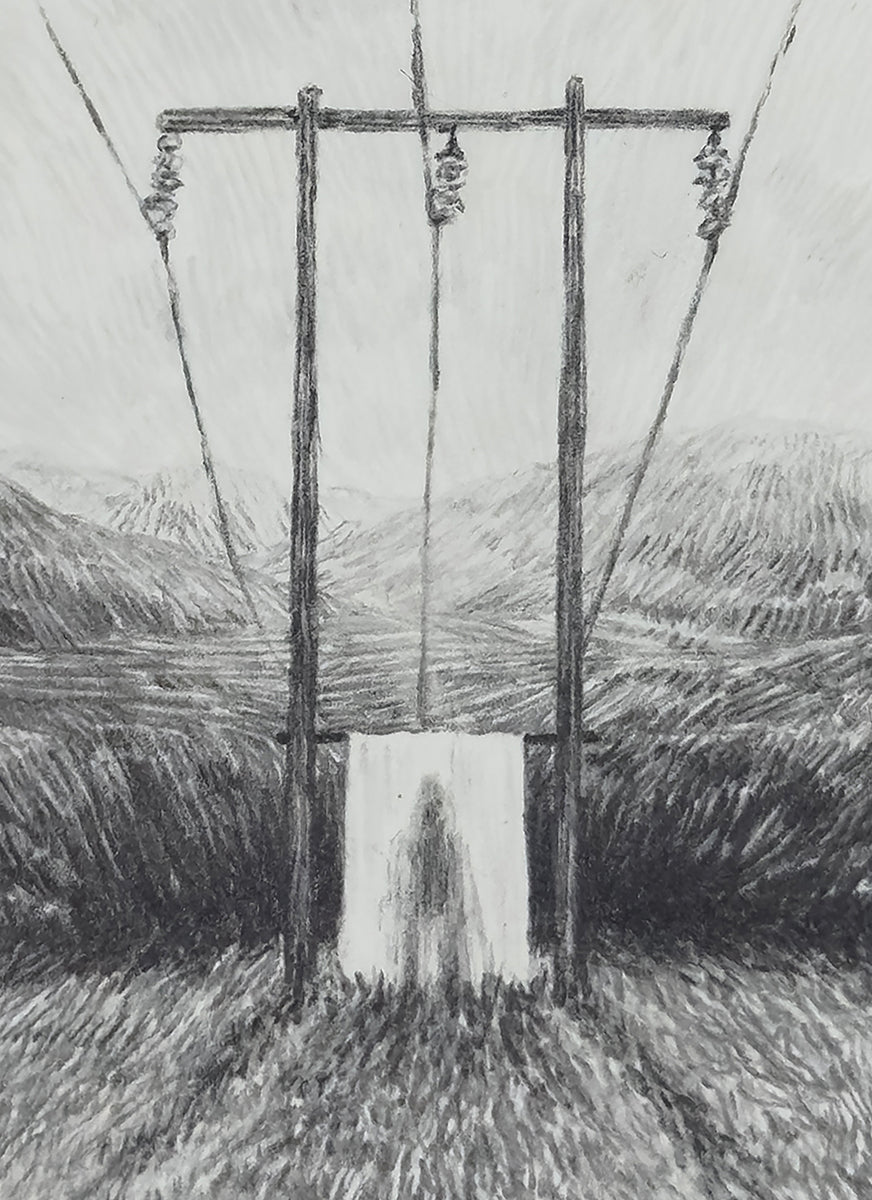 A field, power-lines, a shadow
