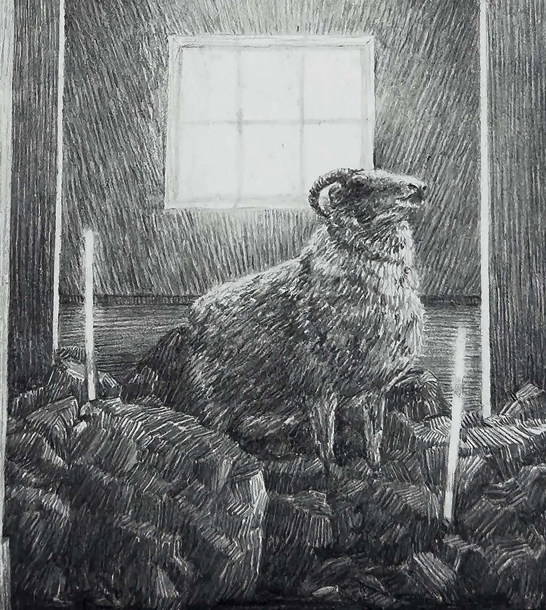 A room, a ram and rocks