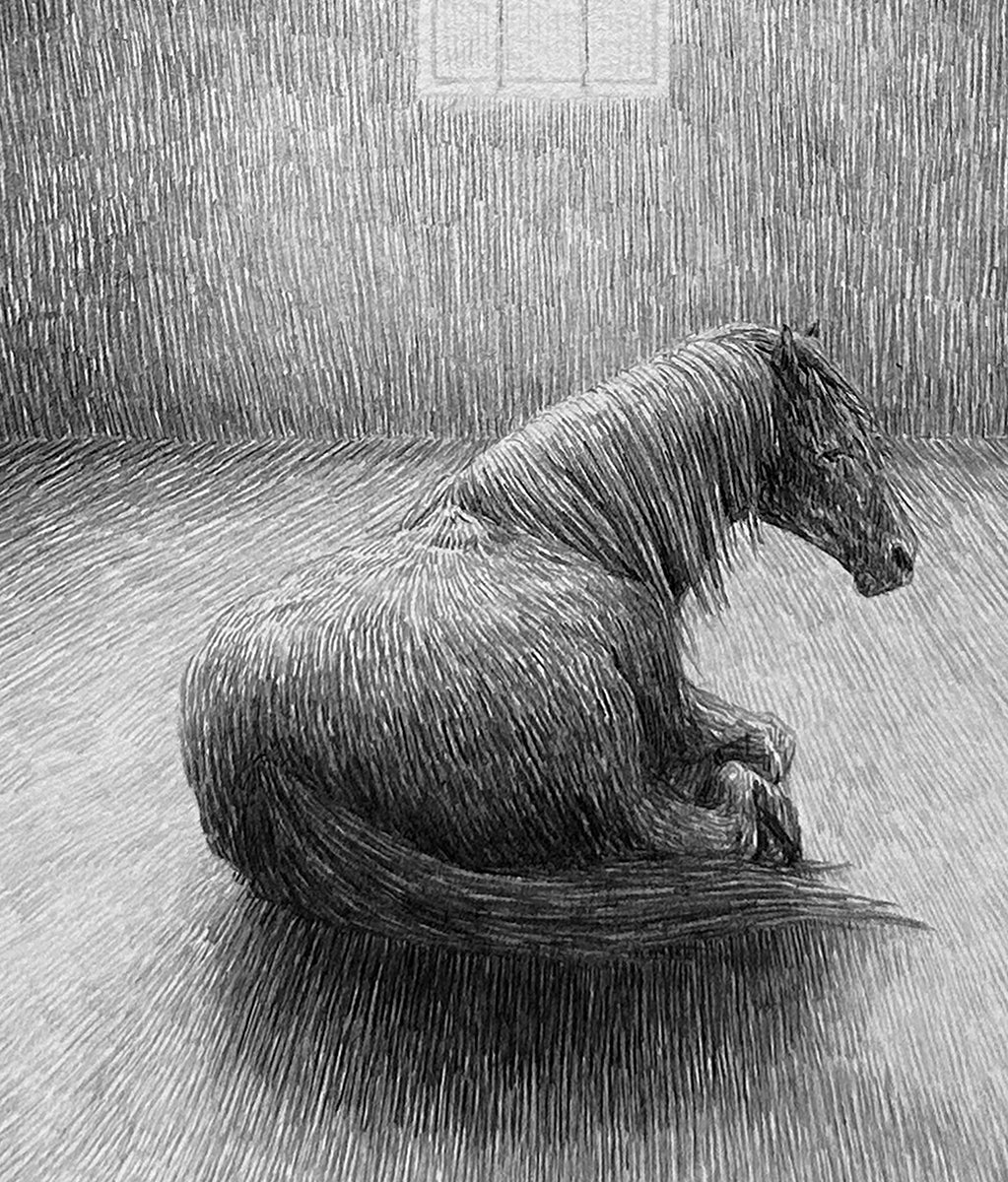 A room, horse and window