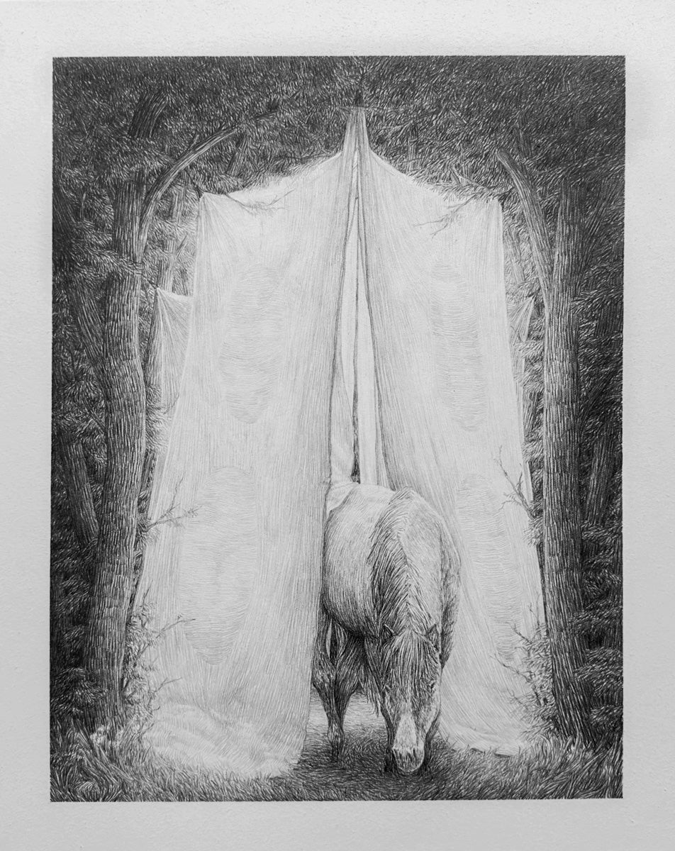 Trees, horse and tent