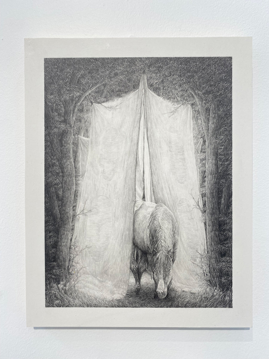 Trees, horse and tent