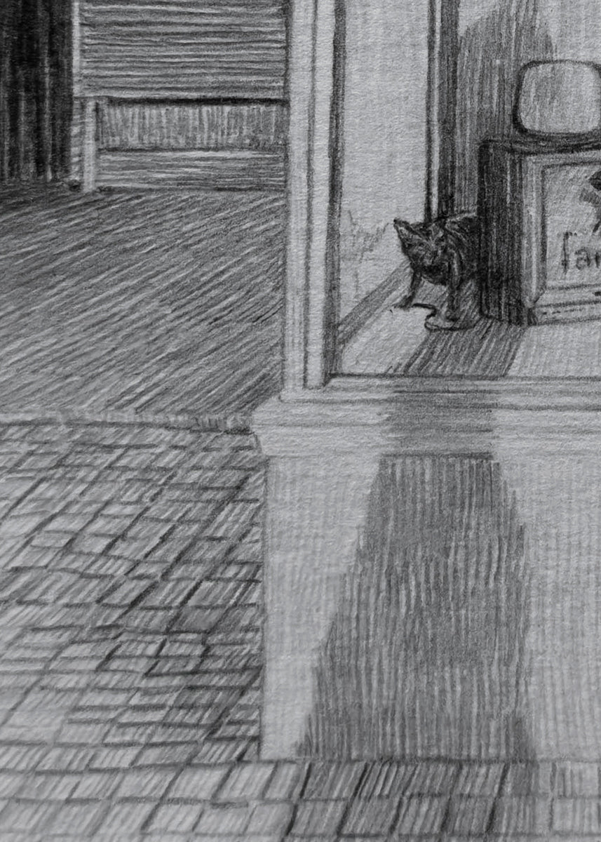 Two cats, a booth and TVs