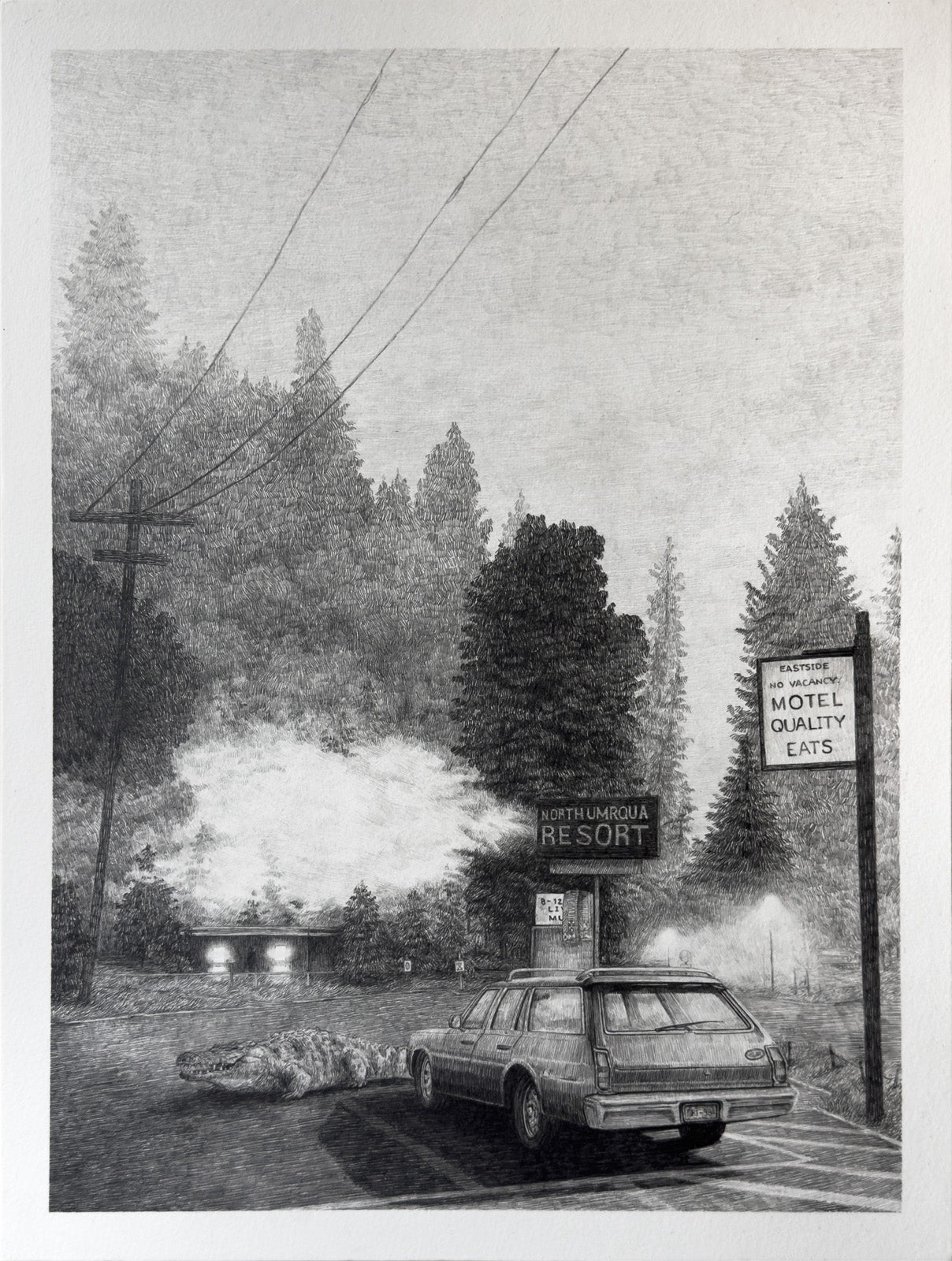A car, crocodile and signs