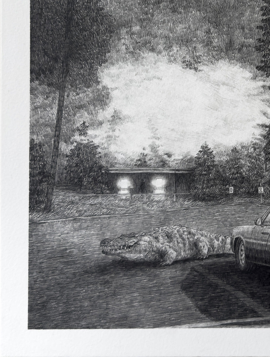 A car, crocodile and signs