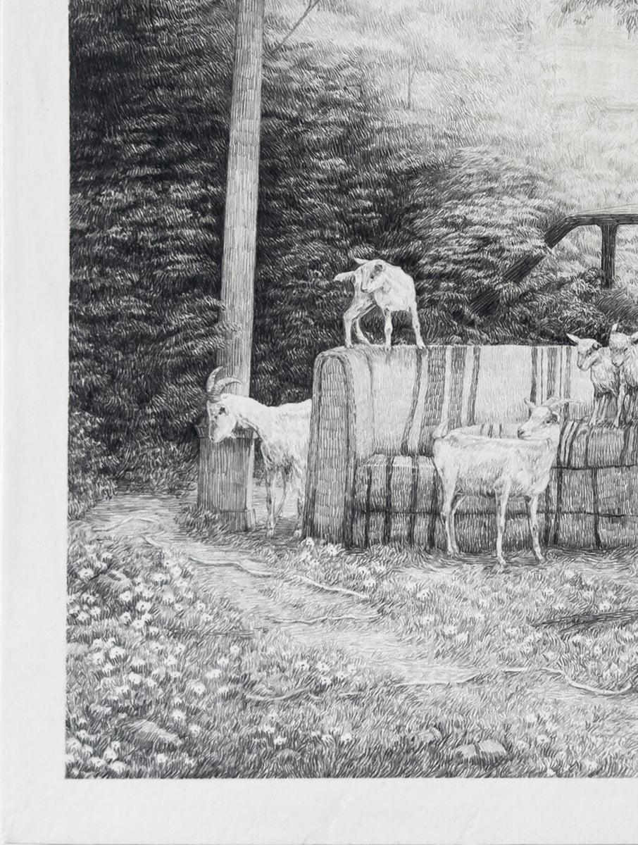 Goats, a couch, and tree