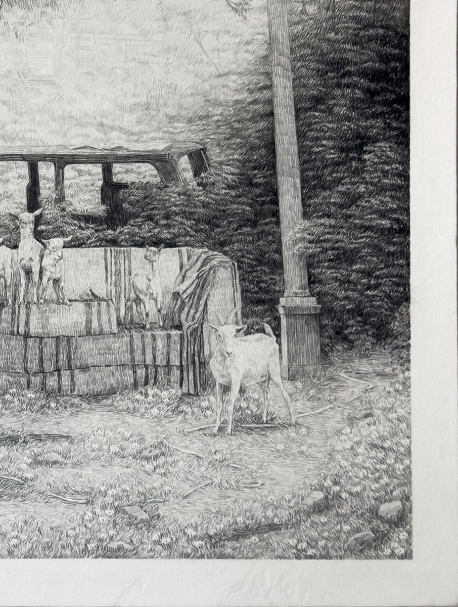 Goats, a couch, and tree