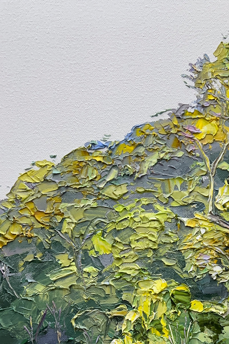 Sulphur Canopy