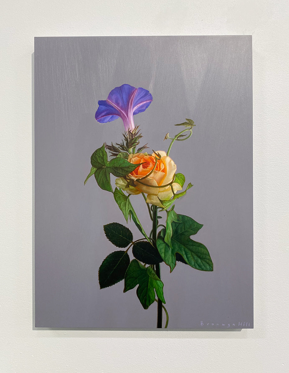Morning Glory Study 5