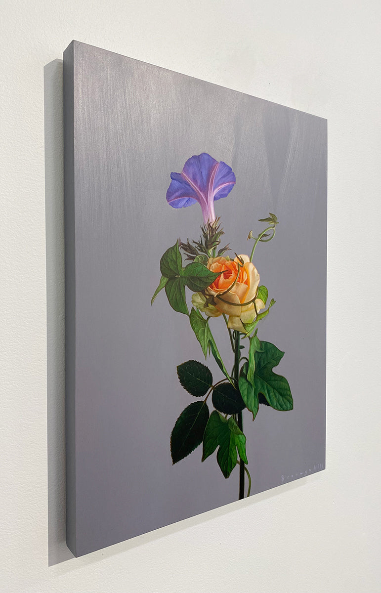 Morning Glory Study 5