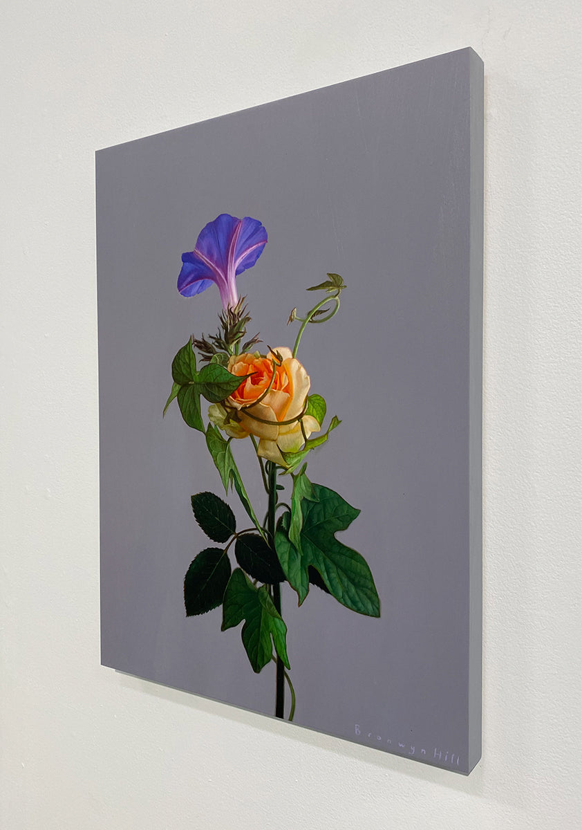 Morning Glory Study 5
