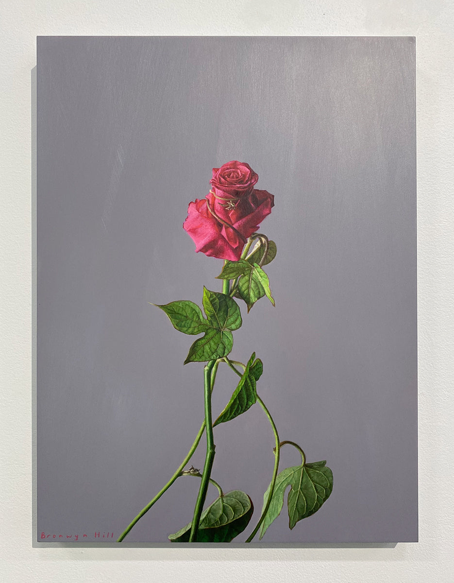 Morning Glory Study 6