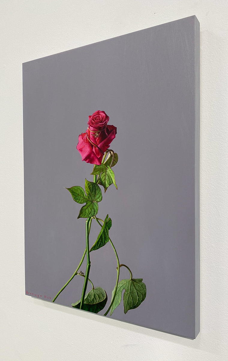 Morning Glory Study 6