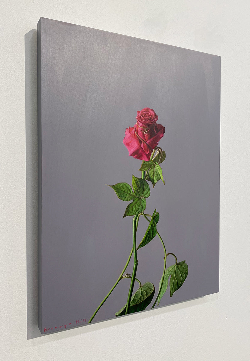 Morning Glory Study 6