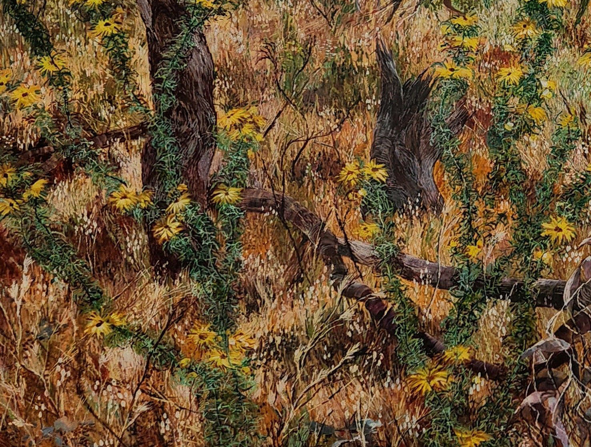 Paper Daisies and Broken Branches