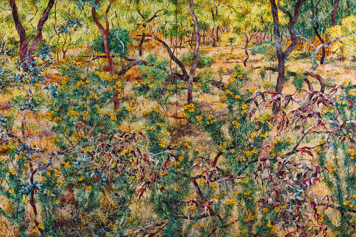 Paper Daisies and Broken Branches on Nailcan Hill