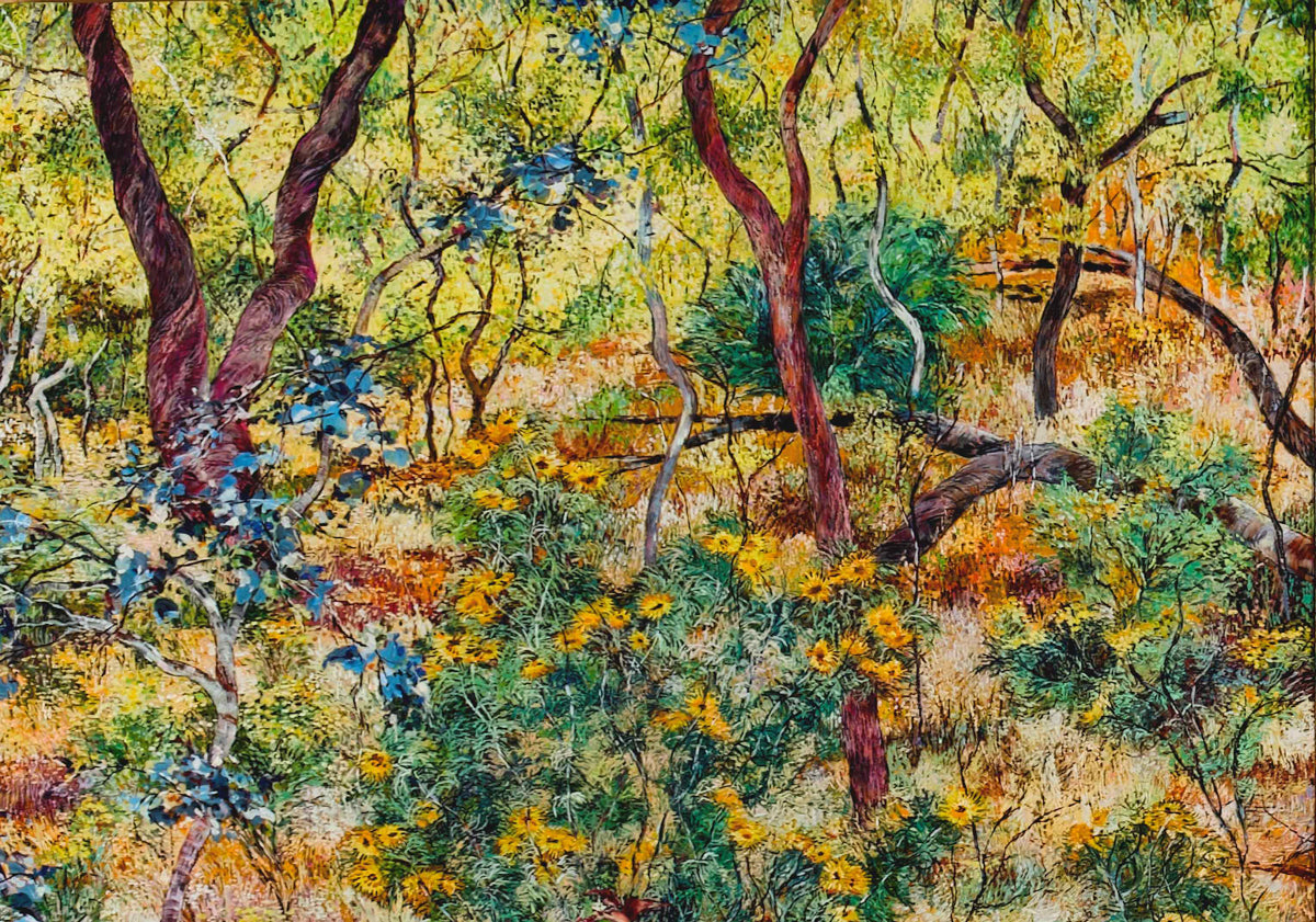 Paper Daisies and Broken Branches on Nailcan Hill
