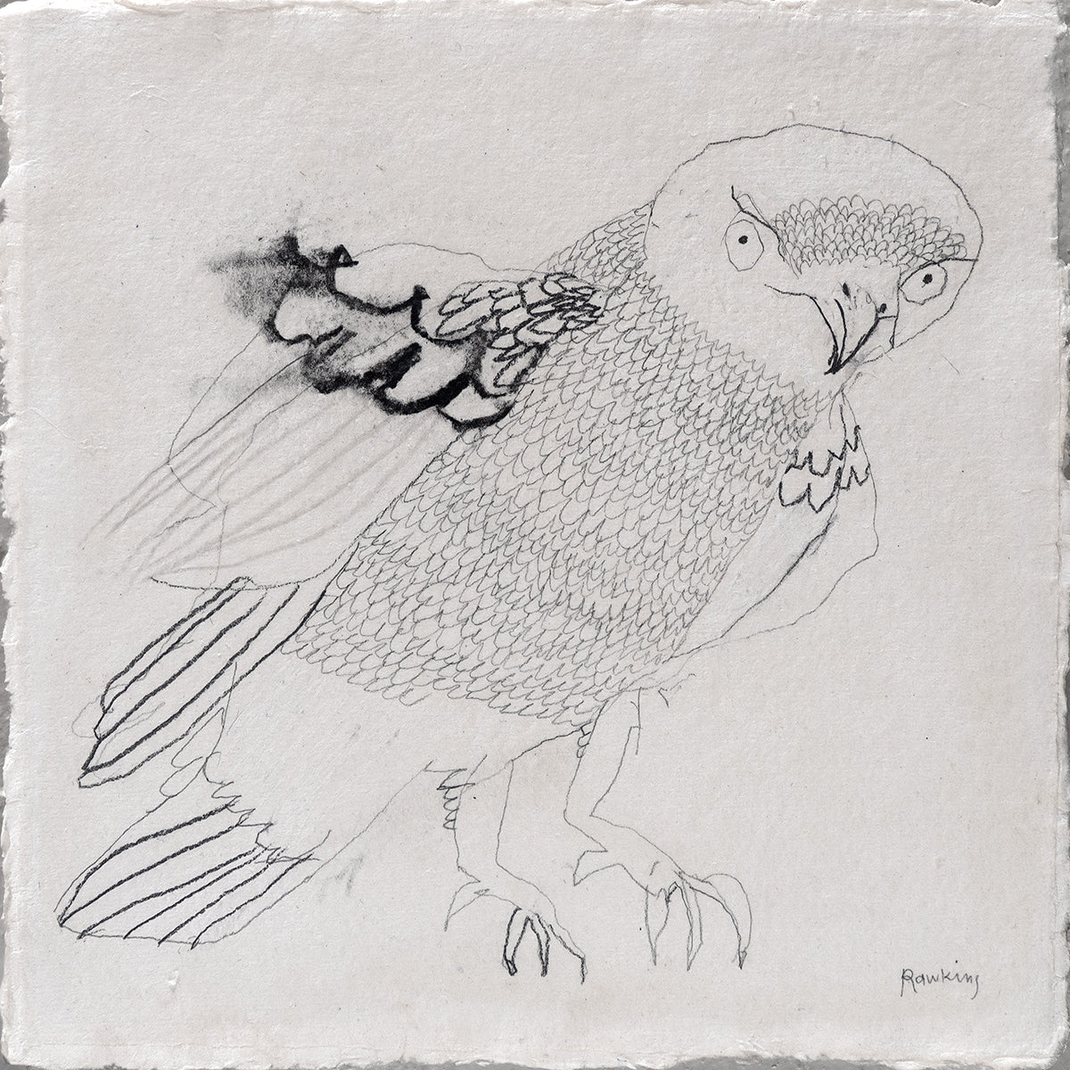Little Letter Wing