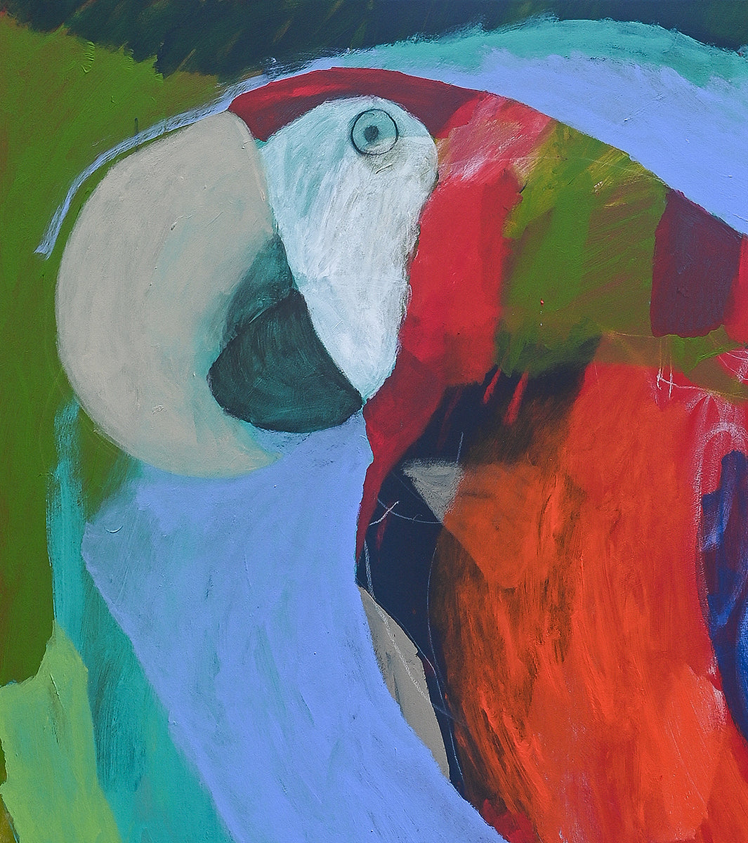 Scarlet-tailed Macaw