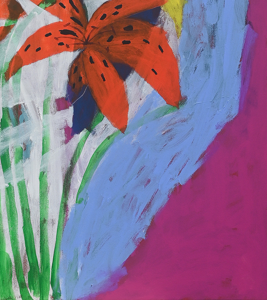 Tiger Lily