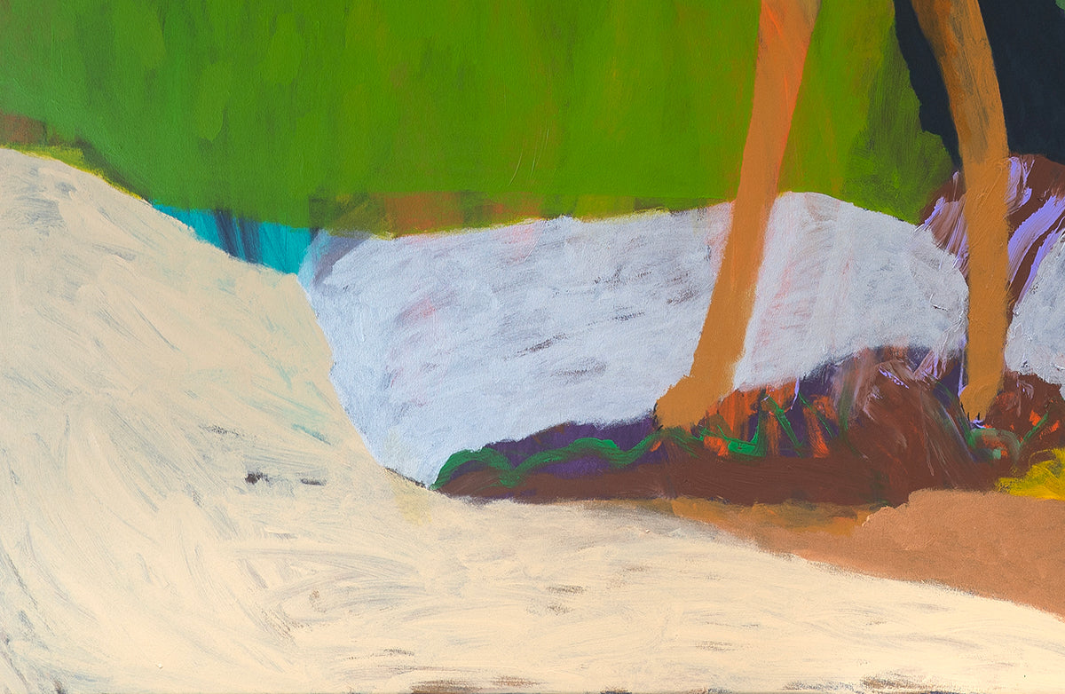Dingo in the Dunes