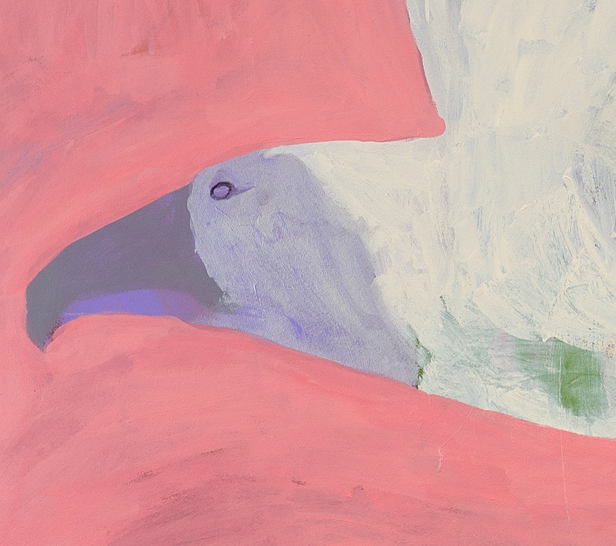 Flying Sea Eagle