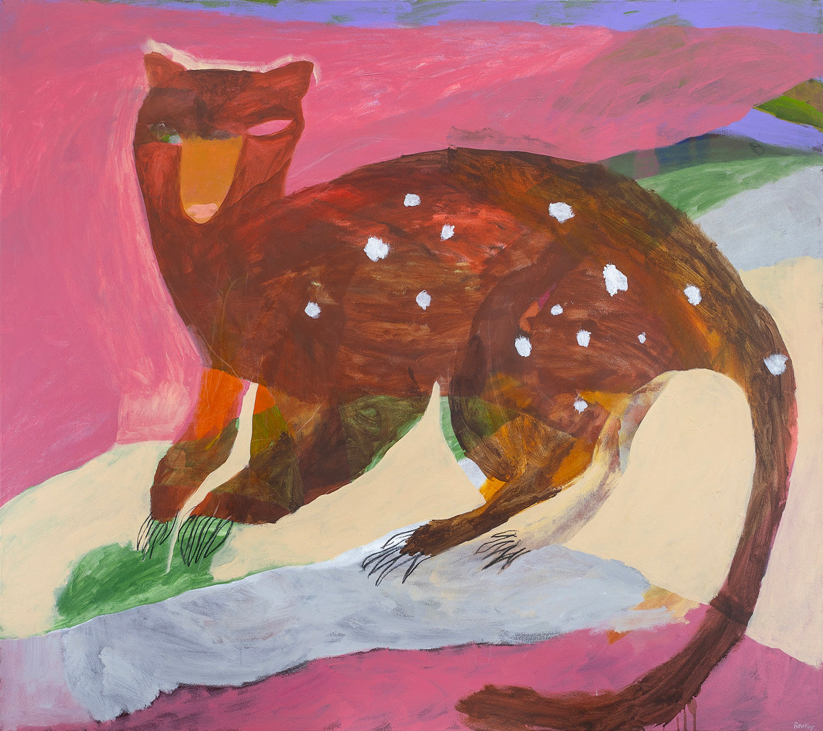 Quoll
