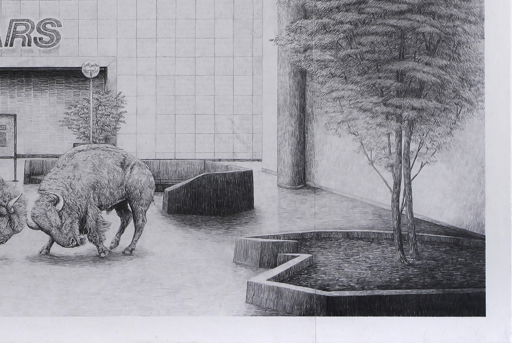 A mall interior and buffalo