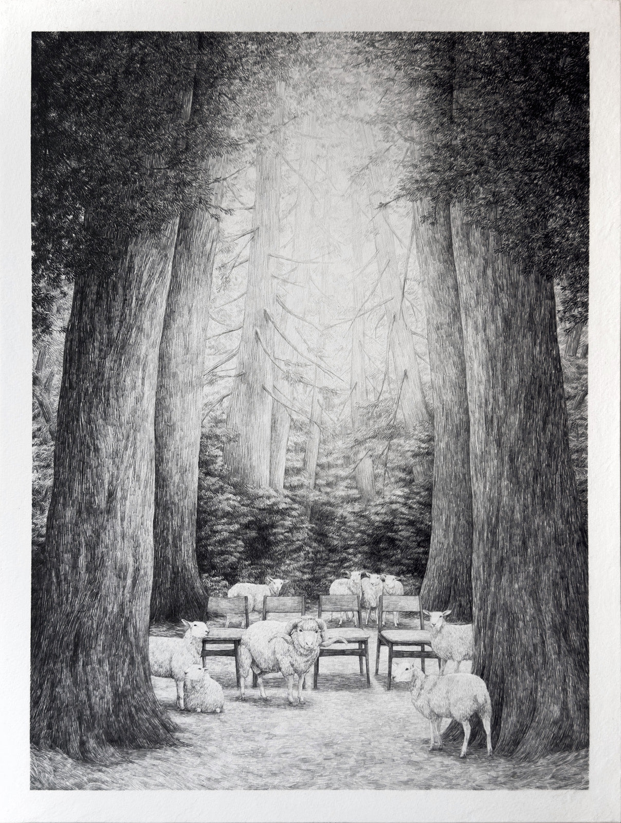 Chairs, sheep and trees