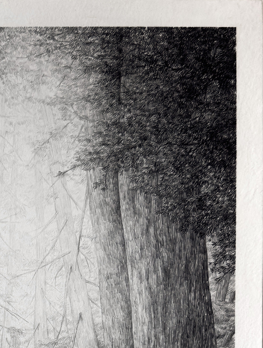 Chairs, sheep and trees