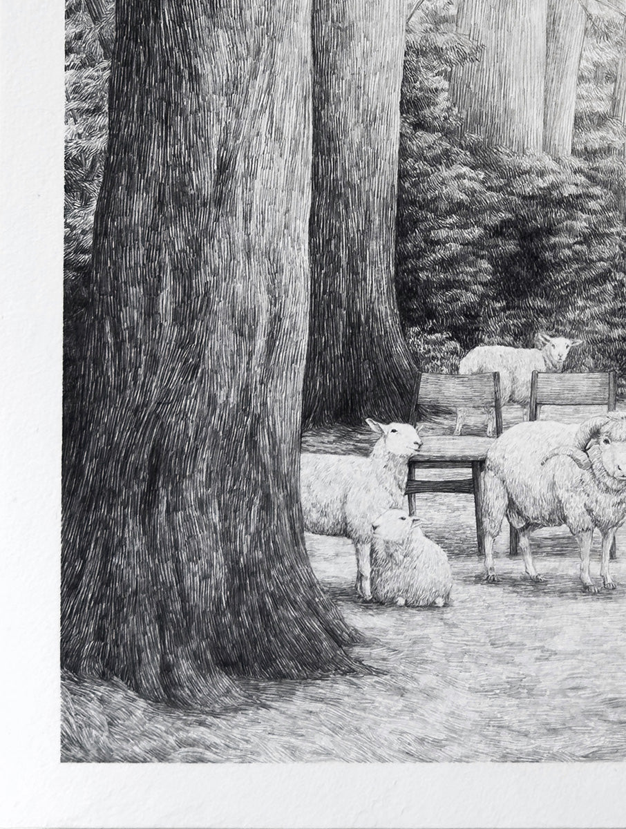 Chairs, sheep and trees