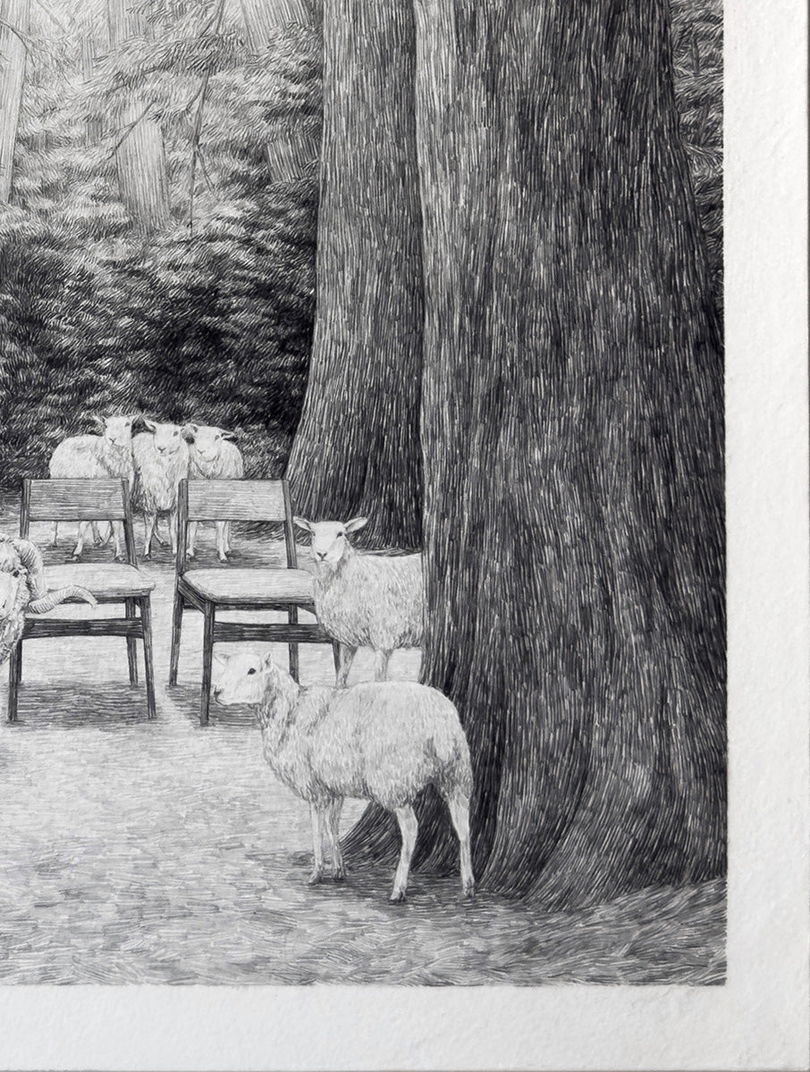 Chairs, sheep and trees