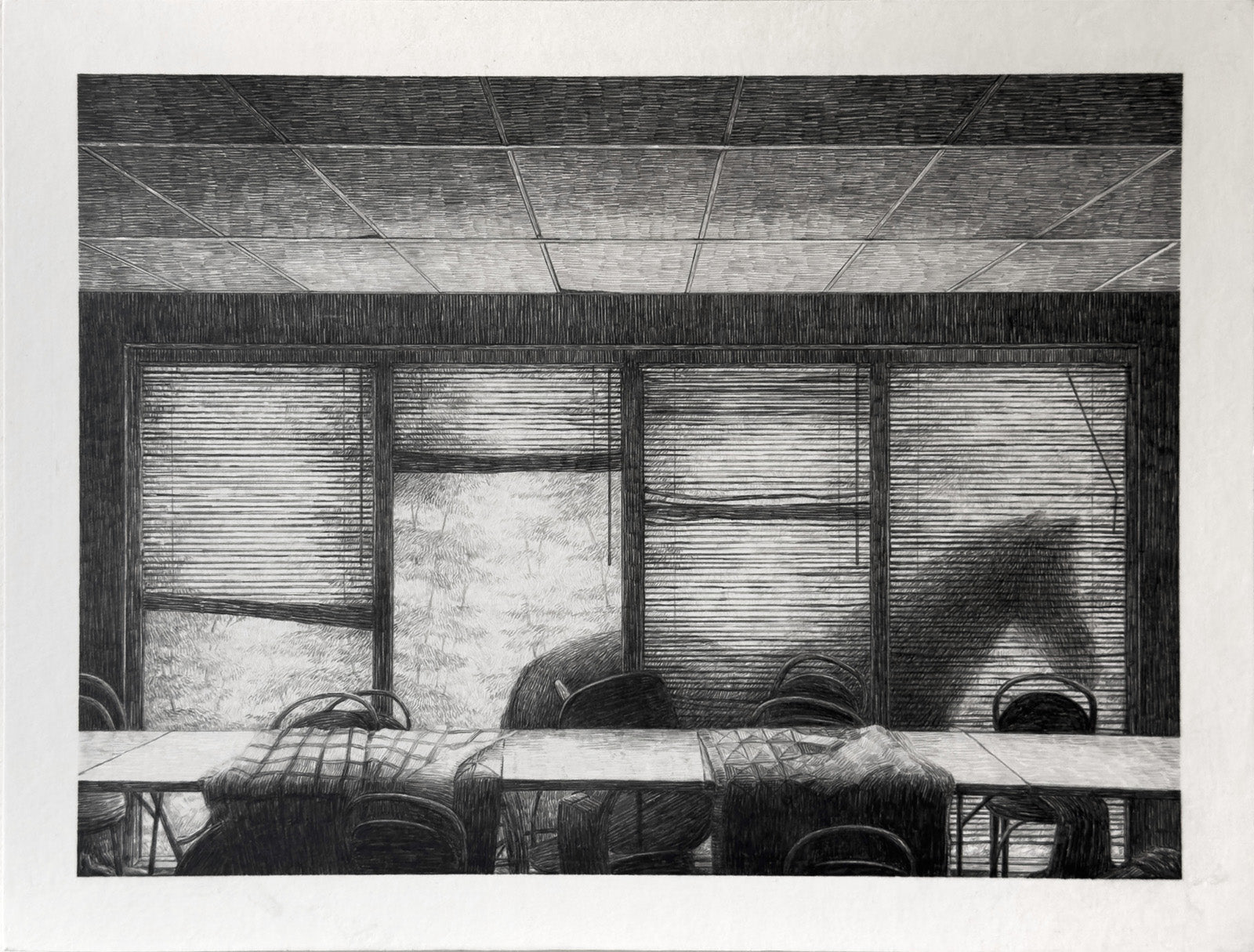 Windows, a shadow and blankets