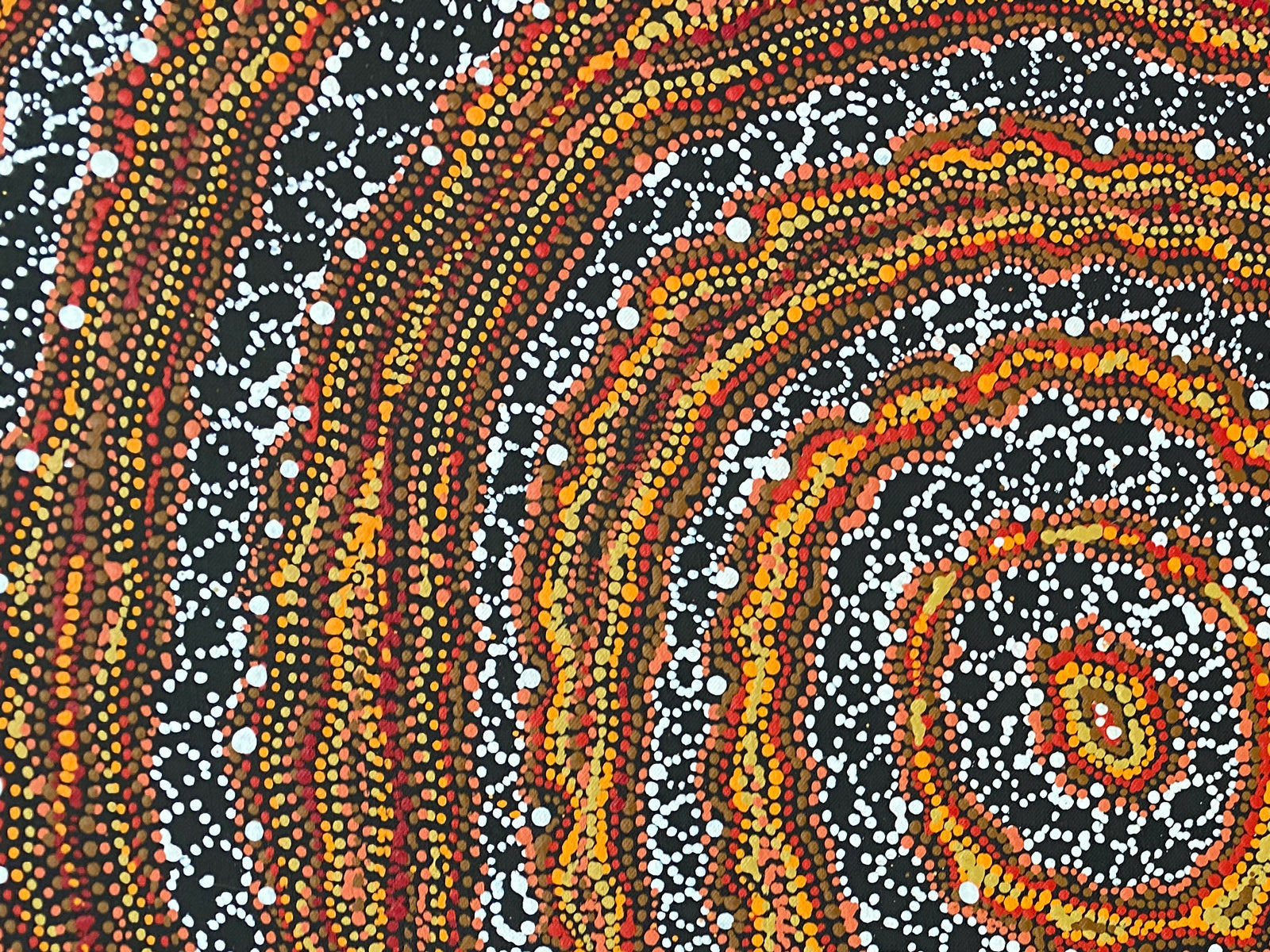 Ngapa Jukurrpa  (Water Dreaming) Pirlinyarnu #6267/21