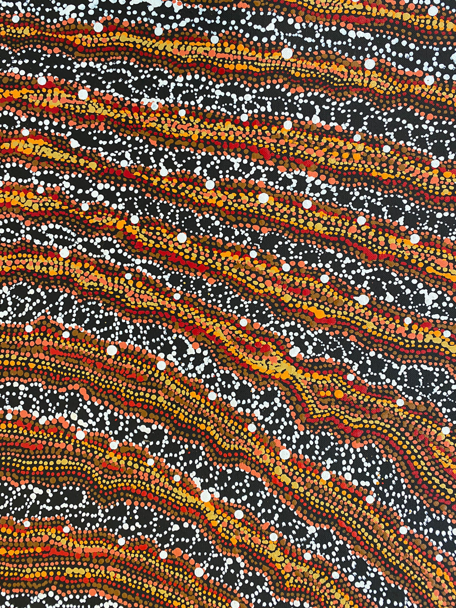Ngapa Jukurrpa  (Water Dreaming) Pirlinyarnu #6267/21