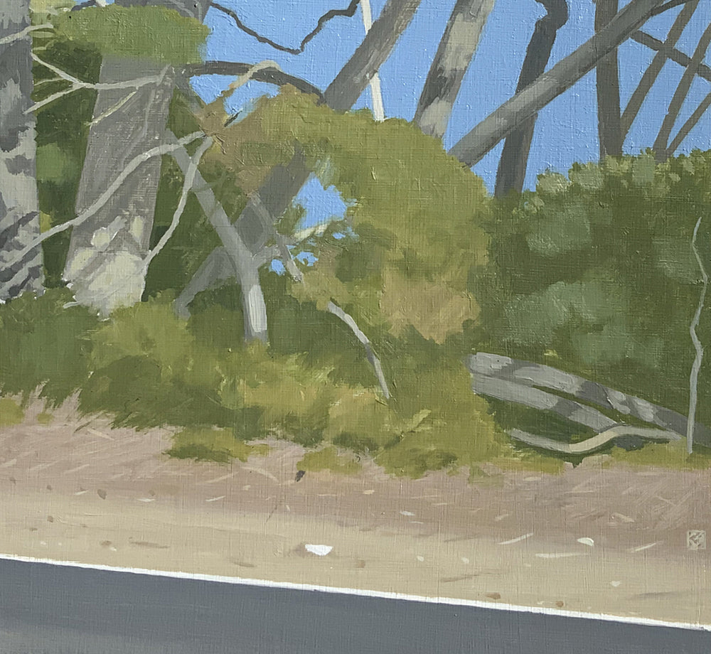 A Road by the Sea 2