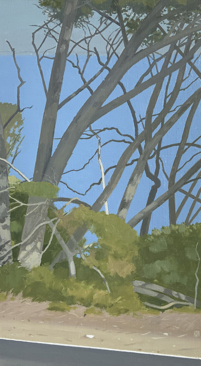 A Road by the Sea 2