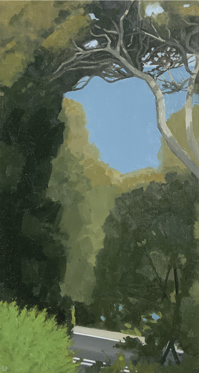 A Road by the Sea 1