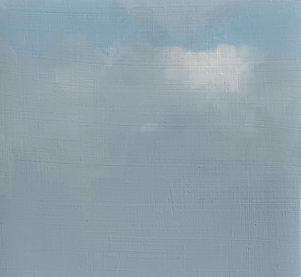 Coastal Landscape 1